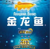 金龍魚